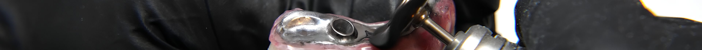 Dental Polishing Equipment That Delivers a Flawless Finish